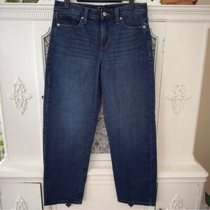Banana Republic High Rise Dark Wash Barrel Jeans